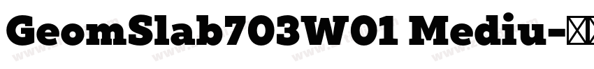 GeomSlab703W01 Mediu字体转换 GeomSlab703W01 Mediu字体转换